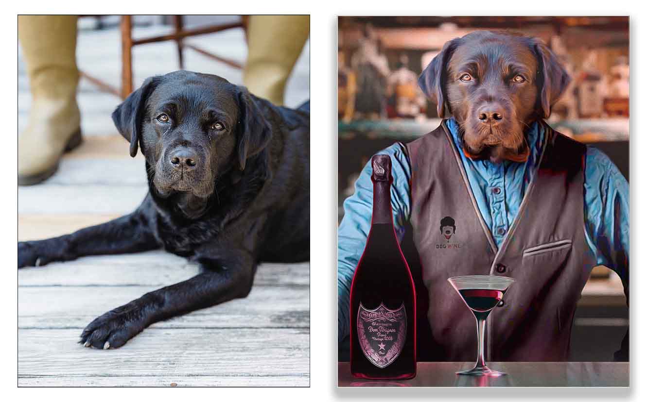 Picture of a dog as a bartender