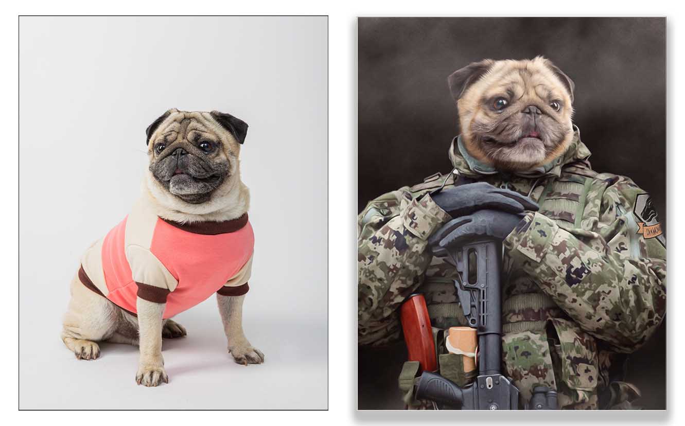 Picture of a dog in a soldier uniform
