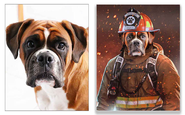 Picture of a dog in a fireman's uniform