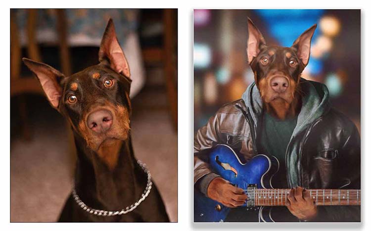 Picture of a dog playing the guitar
